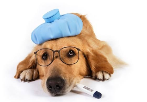 图片14.png 图片14.png