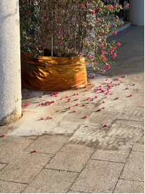 微信图片_20240422194921.png 微信图片_20240422194921.png