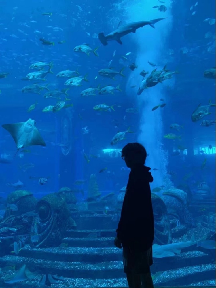 1687166370711.jpg 1687166370711.jpg