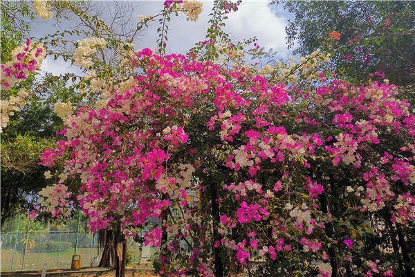 hy590海洋之神检测中心3.jpg hy590海洋之神检测中心3.jpg