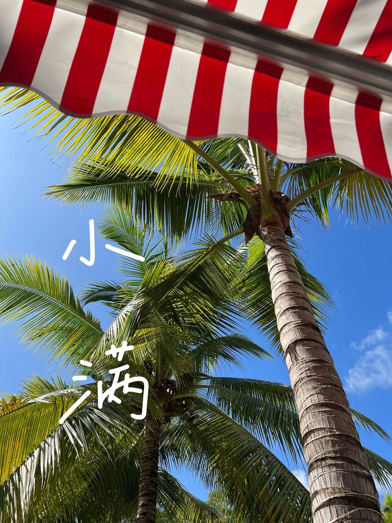 微信图片_20240520223557.jpg 微信图片_20240520223557.jpg