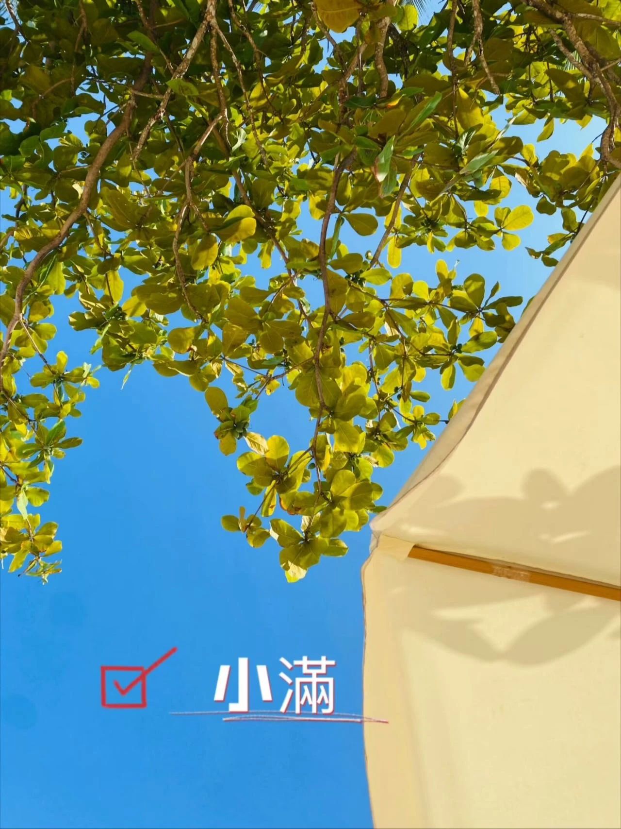 微信图片_20240520223554.jpg 微信图片_20240520223554.jpg