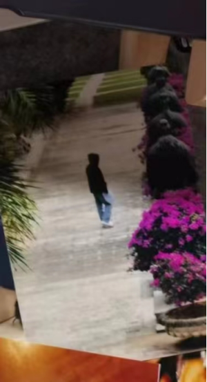 微信图片_20240530205522.png 微信图片_20240530205522.png